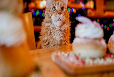 Crisis-Proof Financial Planning Architectures – Designing Personal Finance Systems That Remain Stable During Economic Shocks