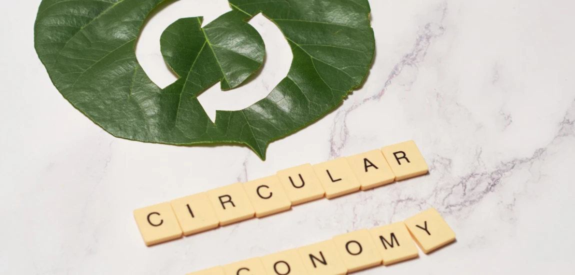 The Circular Economy: Designing Out Waste for a Sustainable Future