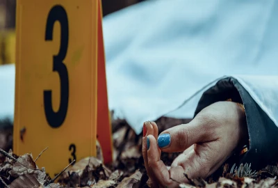 Top Underrated Shows from 2024 You Should Catch Up On in 2025