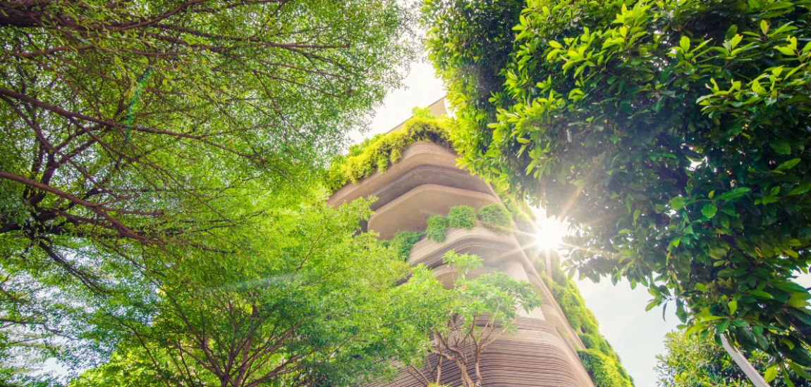 The Future of Sustainable Travel: How Technology, Nature, Culture, and Human-Centered Design Could Redefine Tourism