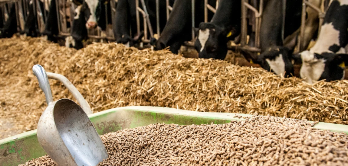 The Hyperreal Feed: Living Inside the Simulation