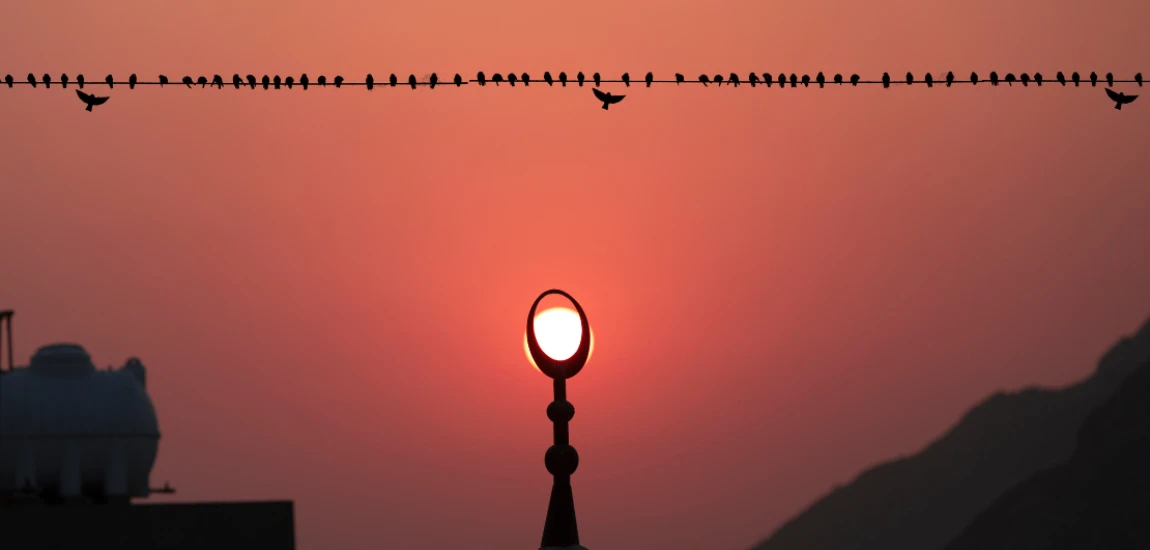 The Monetized Melancholy: Branding Sadness in the Age of Algorithms