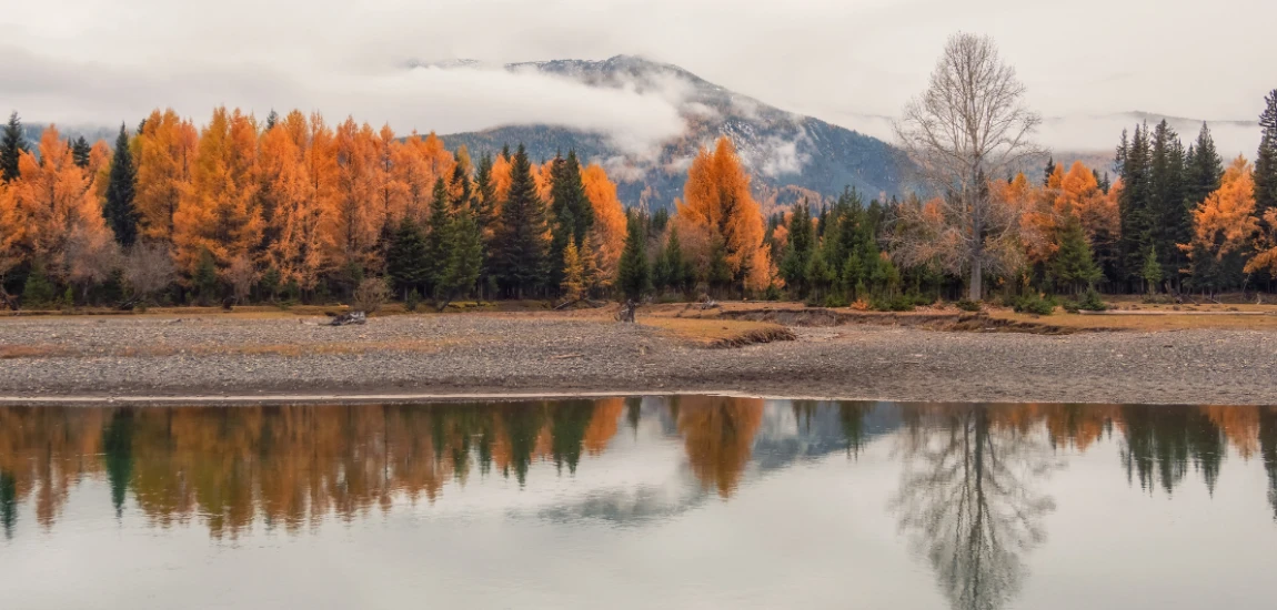 The Quiet Algorithm: Invisible Infrastructures of Feeling