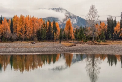 Stress-Reducing Wealth Architecture – Designing Finances That Calm the Nervous System