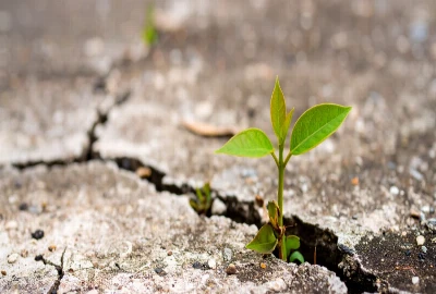 Behavioral Risk Mapping: Identifying Cognitive Biases in Investment Decisions