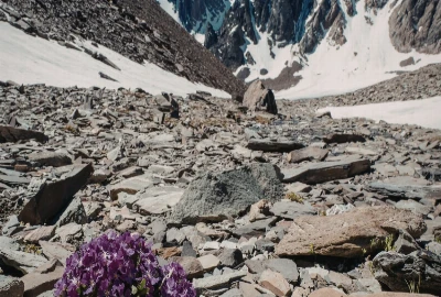 Antifragile Personal Finance Systems – Building Wealth Structures That Strengthen Under Stress