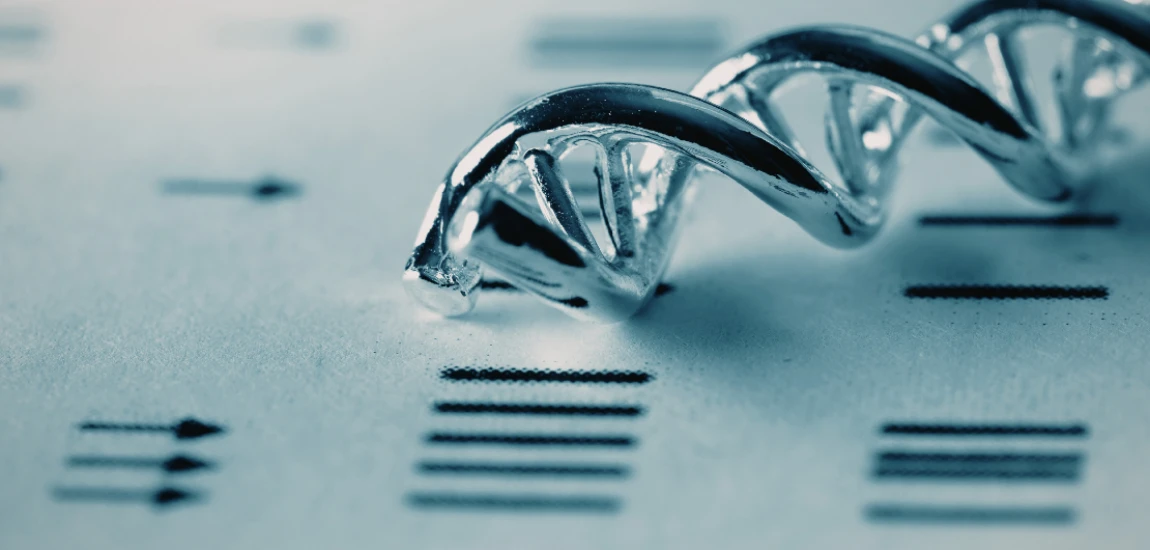 Time-Zone Transition Sequencing – Aligning Arrival Days With Gradual Biological Adjustment Instead of Instant Local Immersion