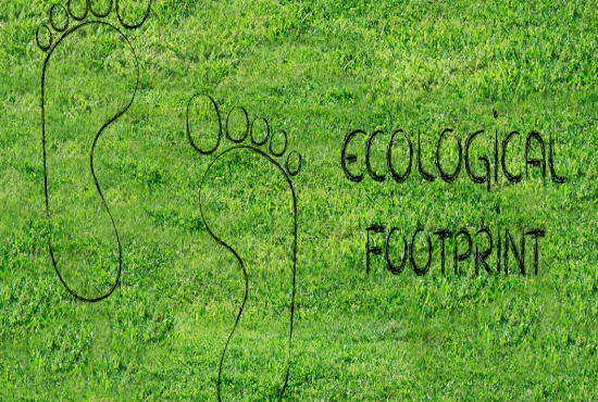 Tourism Footprint Intelligence – Tracking Tourism’s Environmental and Social Effects