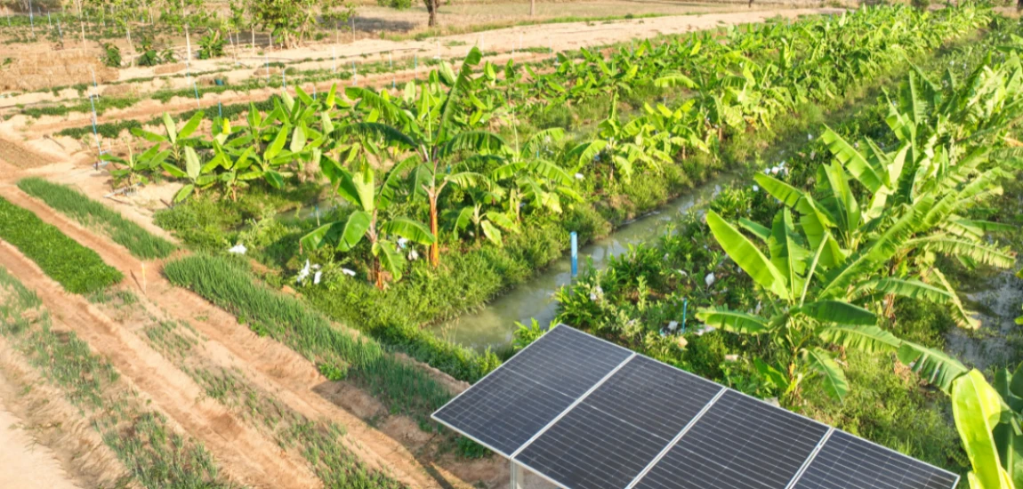 Tourism Resource Optimization – Improving the Use of Water, Energy, and Land