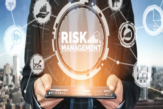 Tourism Risk Intelligence Systems – Identifying and Managing Emerging Tourism Risks