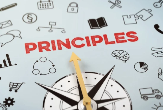 Transparent Algorithm Design Principles: Building Explainable and Trustworthy Digital Systems