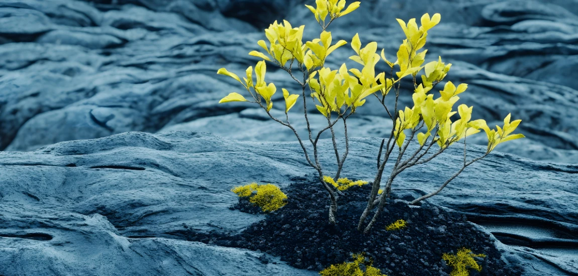 Volatility-Resilient Saving: Planning Money for Unpredictable Futures