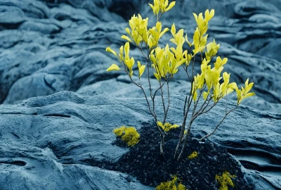 Identity-Safe Wealth Design – Saving Money Without Becoming Someone Else