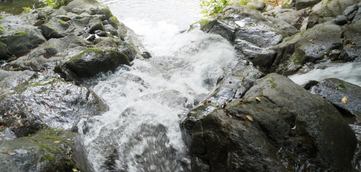 Why Streaming Algorithms Favor Ambiguous Moral Endings Over Clear Resolutions