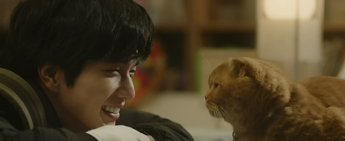 Top Underrated K-Dramas to Watch This Year (2025)