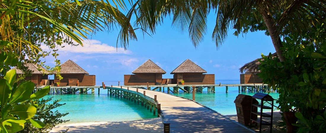 Checked In but Tapped Out: Hotels Where Doing Nothing Feels Productive