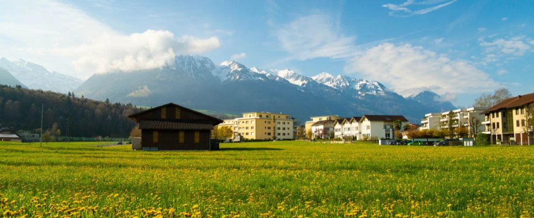 Checked In but Tapped Out: Hotels Where Doing Nothing Feels Productive