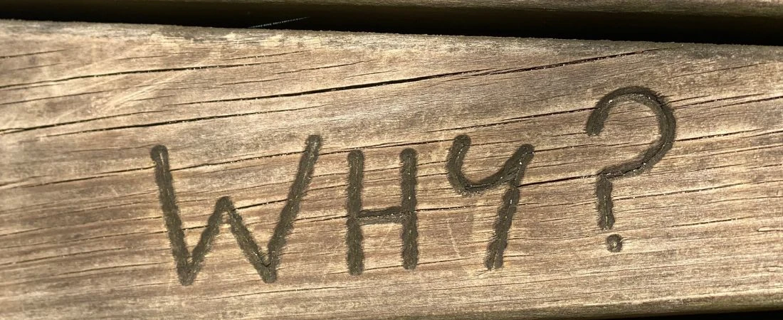 Cities Where the Best Views Are from the Grocery Store