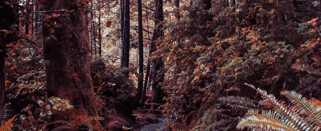 Hiking Trails That End in Something You’d Never Expect