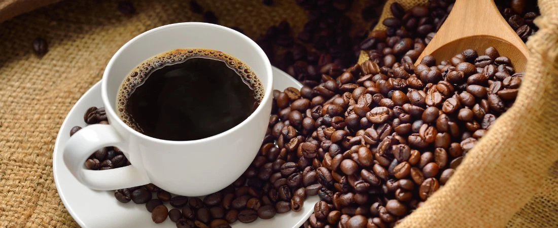 The Cafés Where the Menu Isn’t the Main Attraction