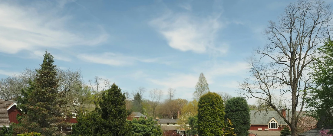 Gardens You Could Get Lost in On Purpose