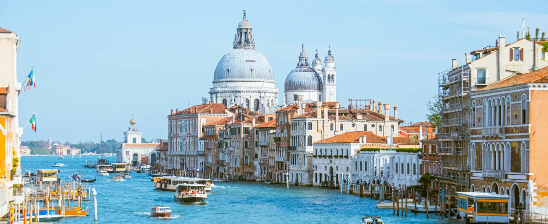 Gardens You Could Get Lost in On Purpose