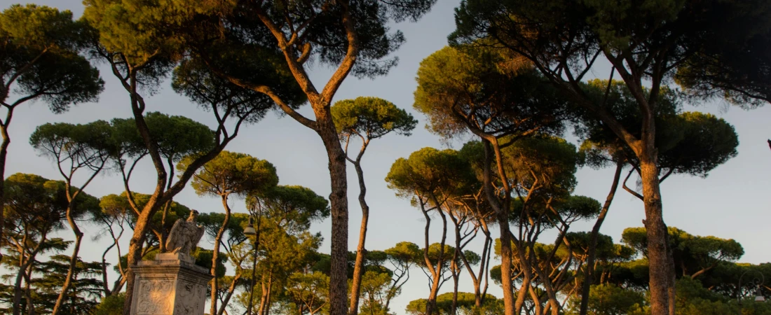 Gardens You Could Get Lost in On Purpose