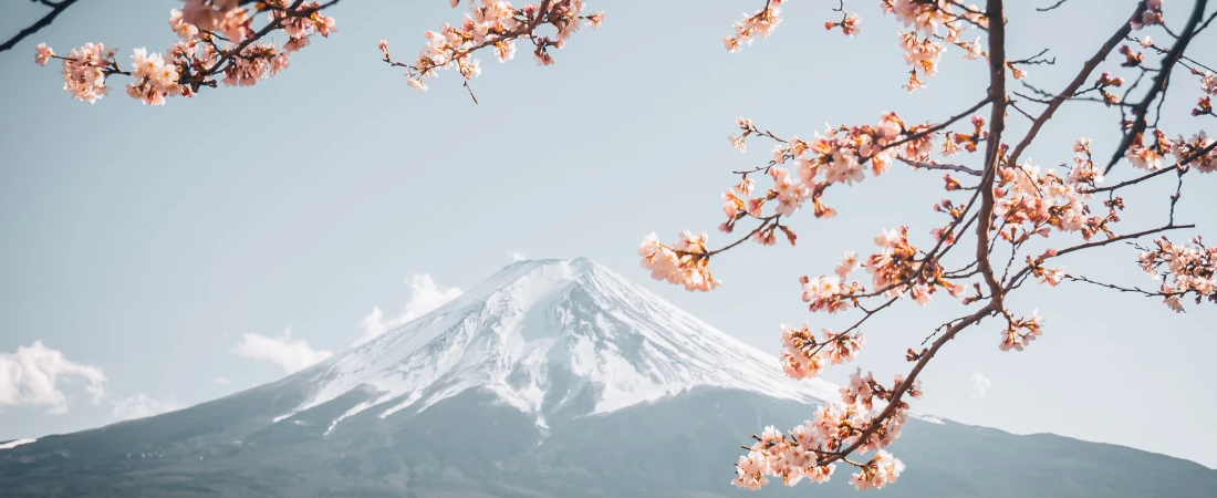 Gardens You Could Get Lost in On Purpose