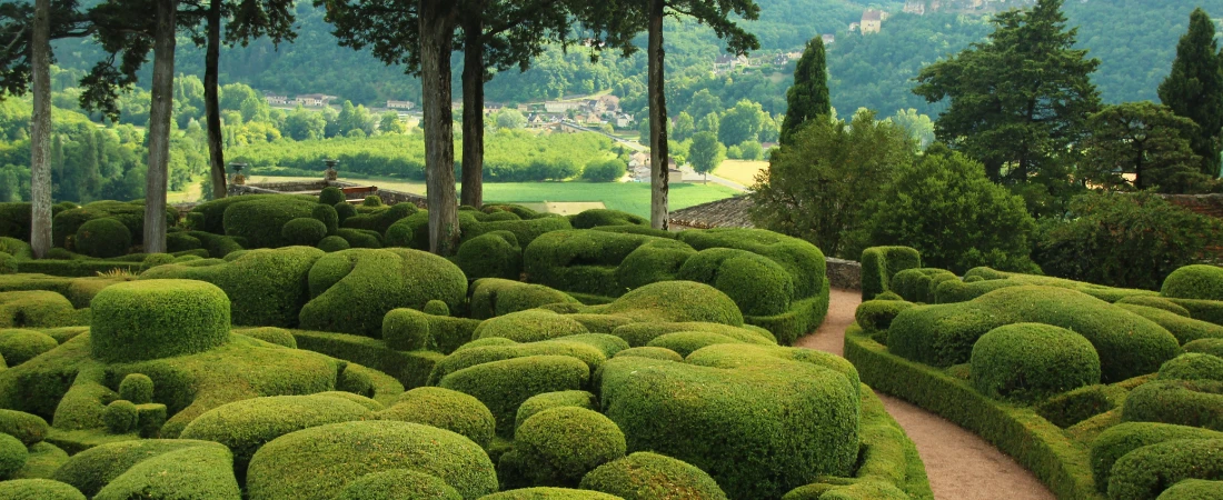 Gardens You Could Get Lost in On Purpose