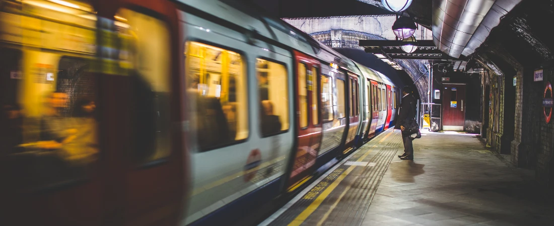 Gardens You Could Get Lost in On Purpose