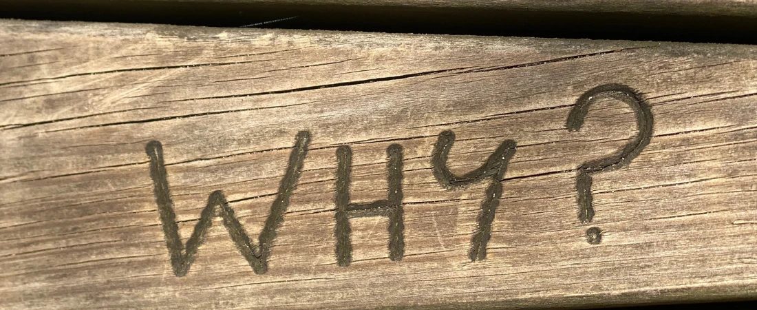 Ferries Where the Journey Matters More Than the Destination