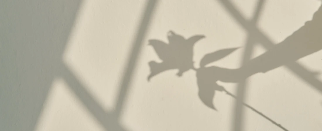 Places Where the Shadows Are the Main Attraction 