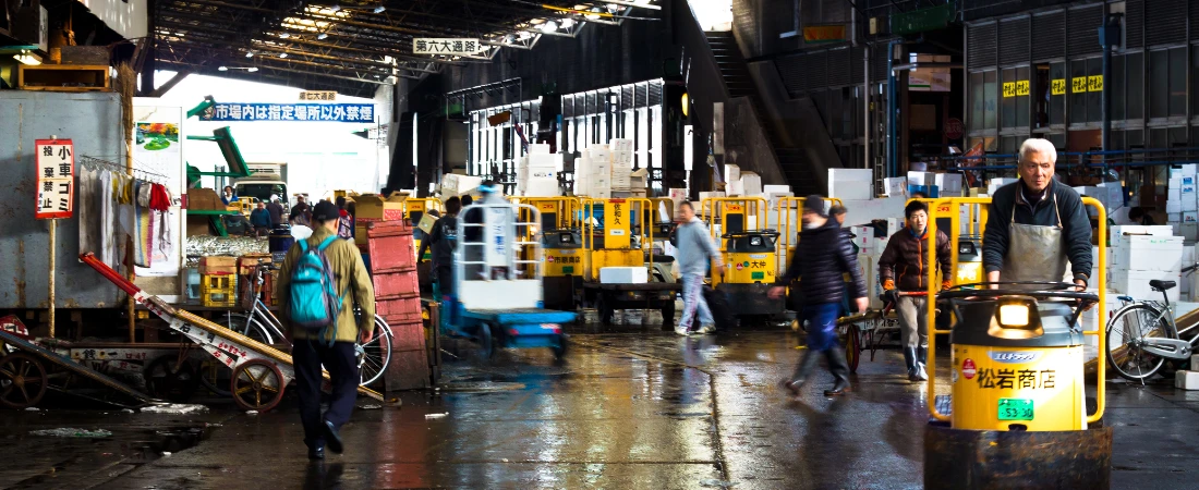 Markets That Only Appear at Dawn 