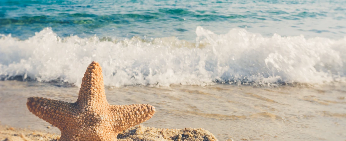 Beaches That Disappear Completely