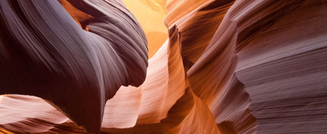 Trails That Reveal Something Only Once a Year