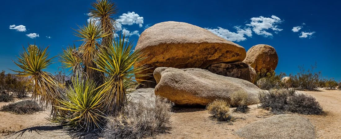 Trails That Reveal Something Only Once a Year