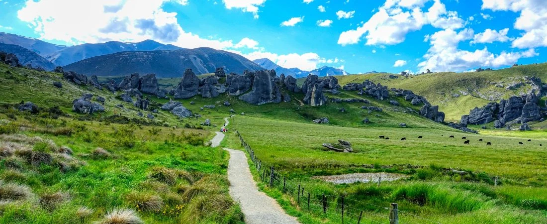 Trails That Reveal Something Only Once a Year