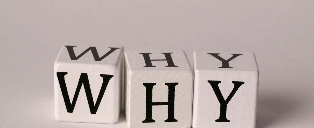 Why You Don’t Have to Watch Everything to Be 