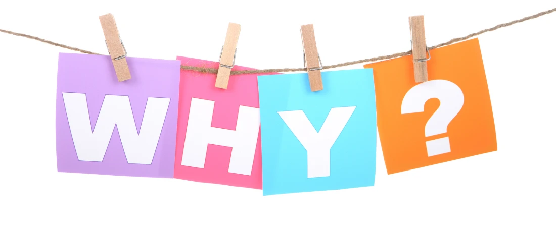 The Personality Quiz Renaissance: Why We’re Still Obsessed with Labels