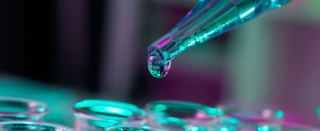 The Personality Quiz Renaissance: Why We’re Still Obsessed with Labels