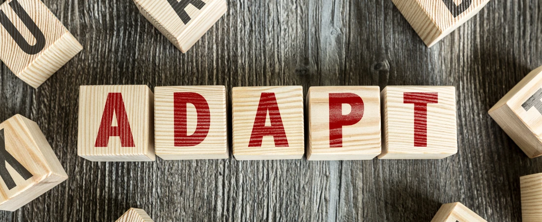 Digital Reincarnations: How Old Platforms Rebrand Themselves to Survive