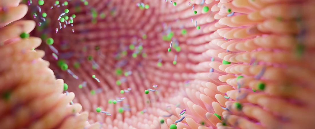 Microbiomes and You: How Gut Health Impacts the Brain and Immunity
