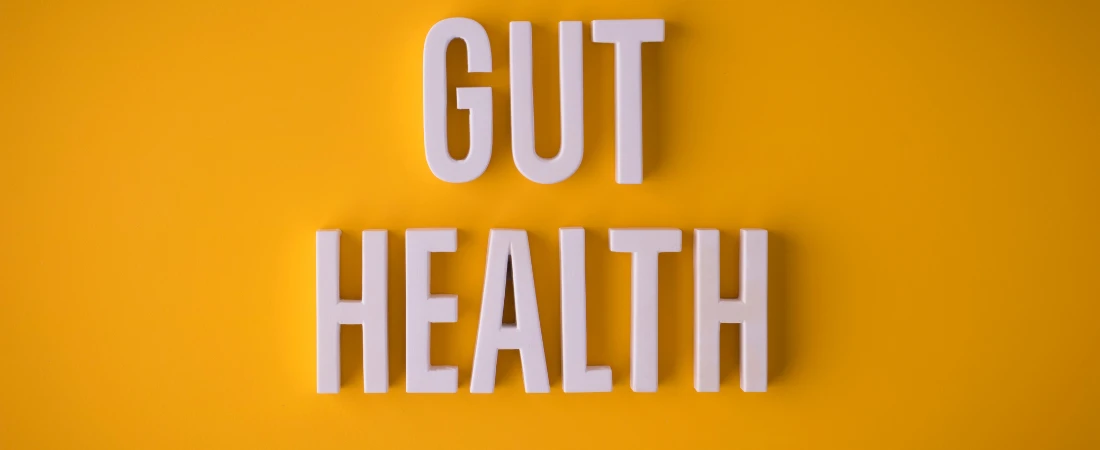 Microbiomes and You: How Gut Health Impacts the Brain and Immunity