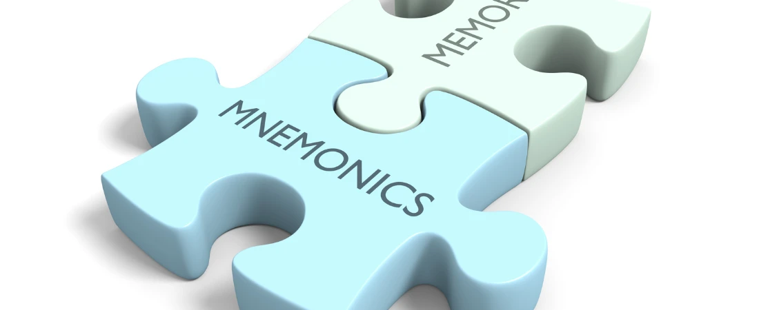 Microbiomes and You: How Gut Health Impacts the Brain and Immunity