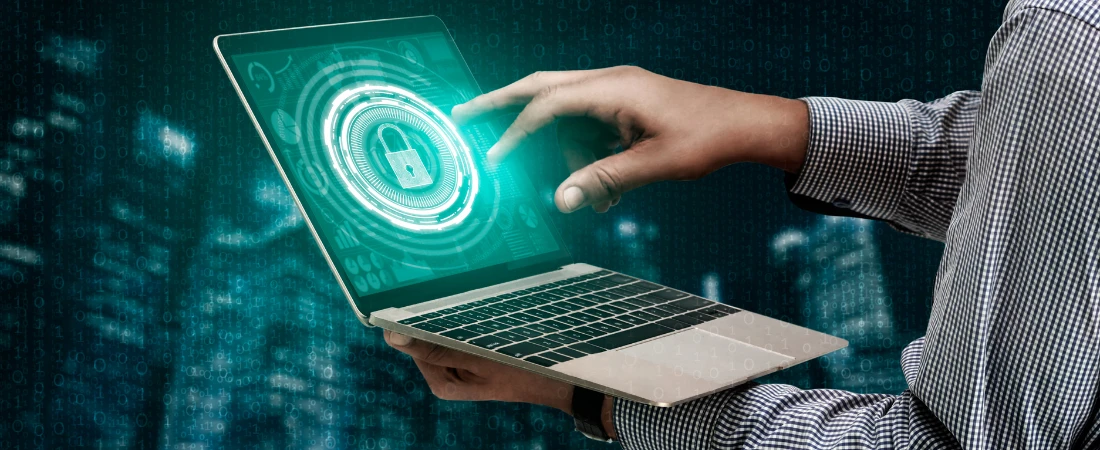 Digital Identity and the Future of Online Privacy