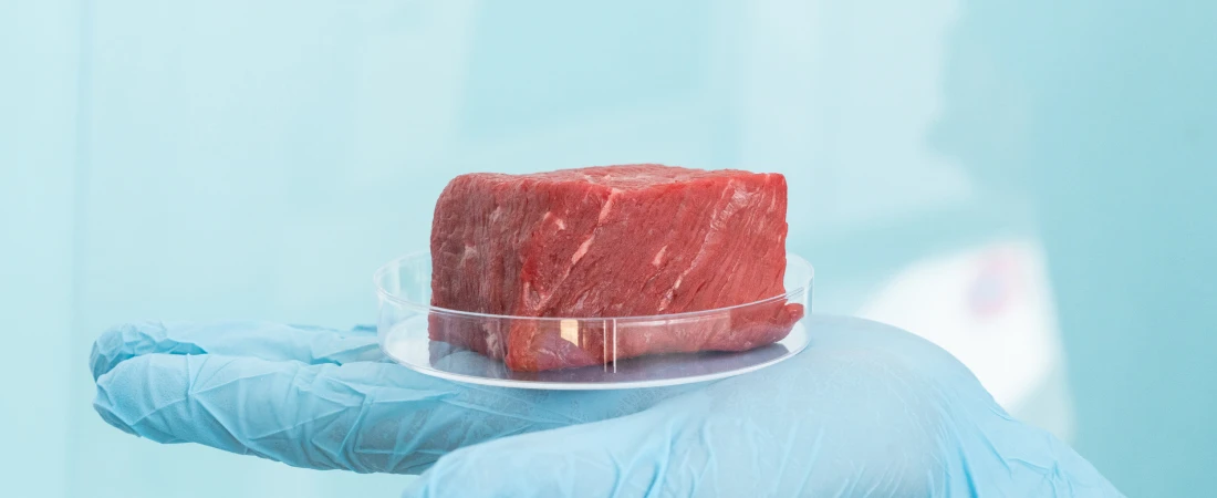 The Future of Food: Lab-Grown, Printed, or Engineered?