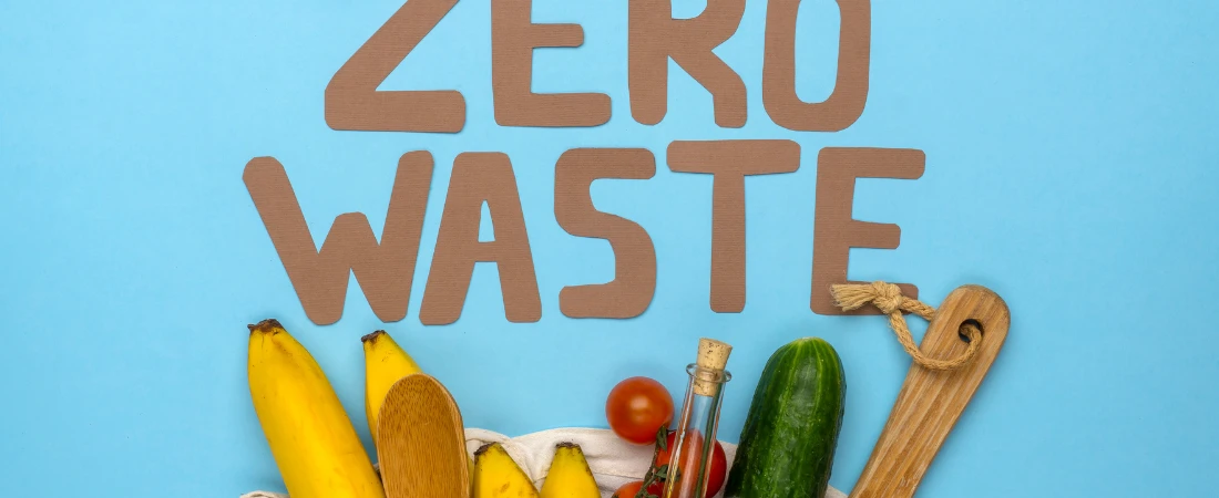 The Zero-Waste City: Can Urban Life Be Sustainable?