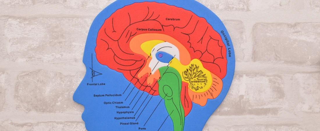 Brain-Computer Interfaces: Merging Mind and Machine