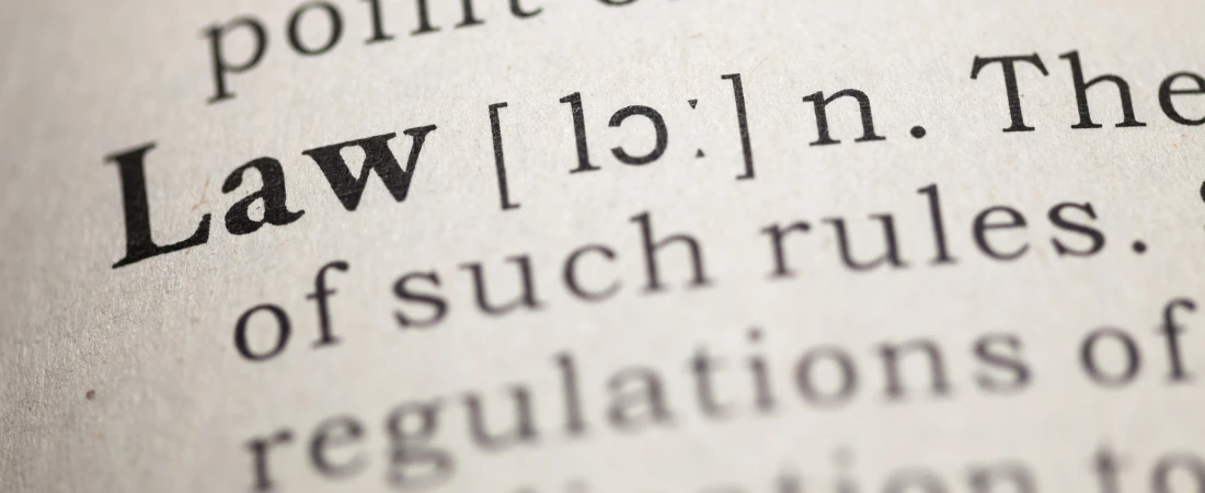 Code as Law: Can Software Govern Society?