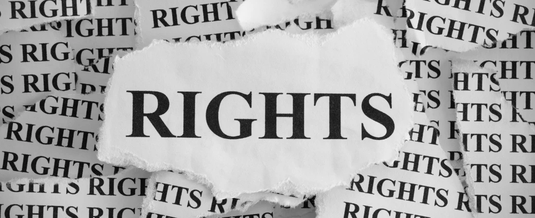 Post-Human Rights: Ethics Beyond the Biological